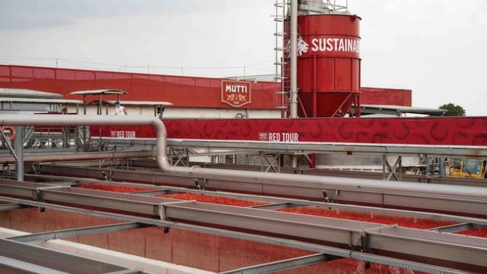 Mutti: bene la campagna del pomodoro nonostante costi energetici alle stelle e crisi irdica