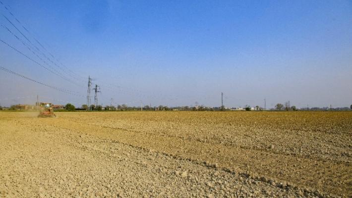 Indennizzi riconosciuti alle imprese agricole dell’Emilia-Romagna 