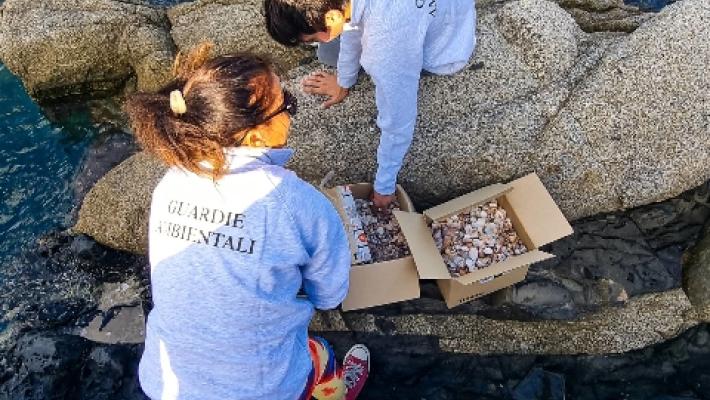 Spiagge sarde depredate: 900kg sabbia tornano a Villasimius