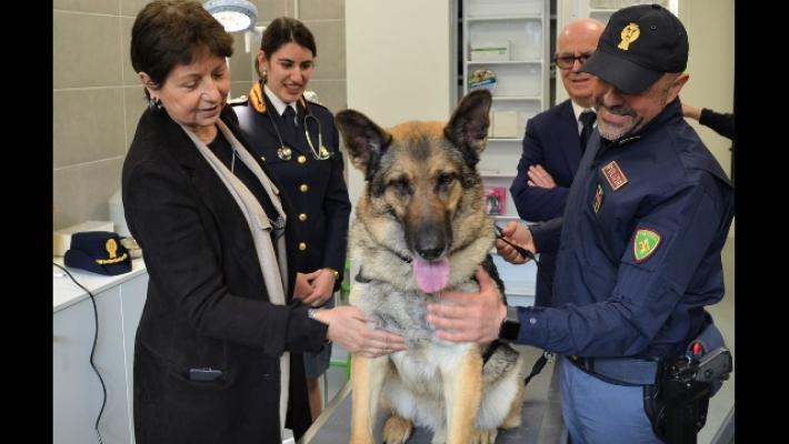 Polizia: inaugurata a Milano l'Infermeria veterinaria