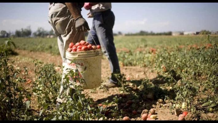 Decreto flussi, 252mila domande dai datori di lavoro