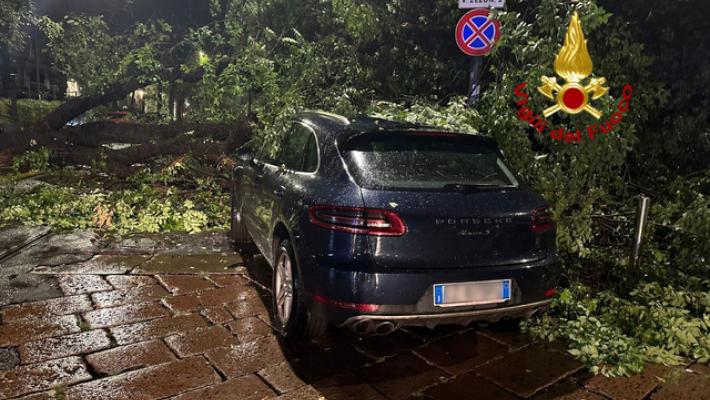 Pioggia e vento fortissimo a Milano: alberi pericolanti e cartelloni pubblicitari caduti. Tromba d'aria nel Varesotto. Tante le chiamate ai vigili del fuoco