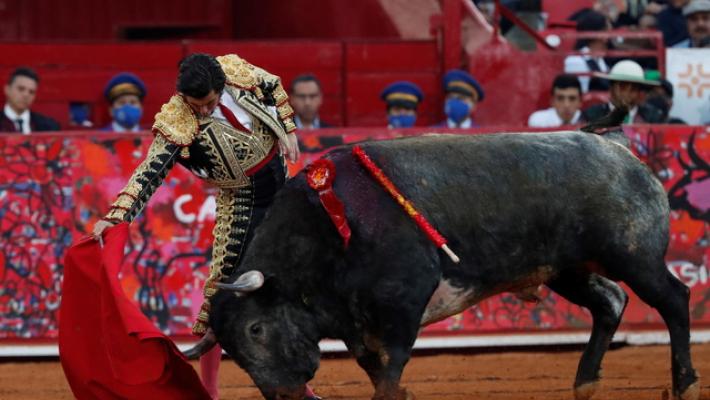 La Colombia sancisce la fine delle corride