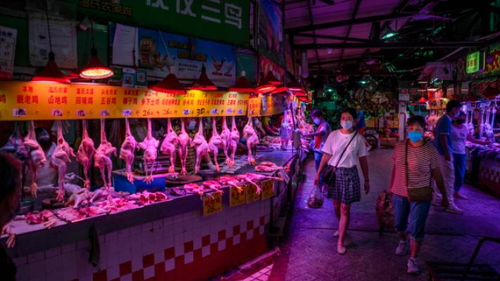 Wsj: Cina mappò virus Covid due settimane prima di annunciarlo