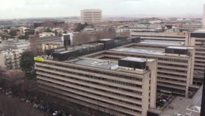 Precipita da terrazza al quarto piano, muore 67enne