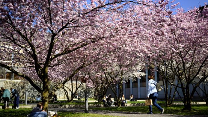 Sole e temperature primaverili per tutta la settimana