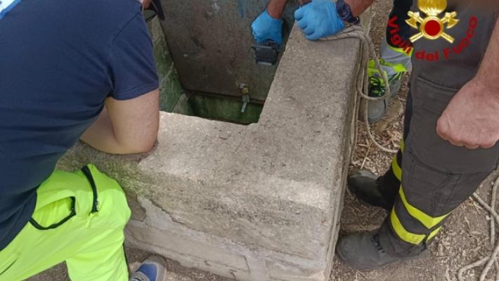 Bimbo morto nel pozzo: anche la soccorritrice è indagata