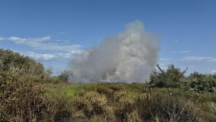 Rogo minaccia Oasi Variconi a Castel Volturno
