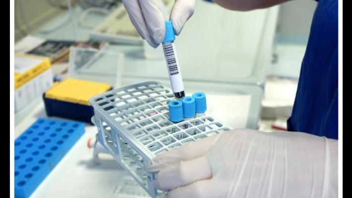 Gli eccidi del 1945: identificate altre quattro persone dopo quasi 80 anni, il Ris di Parma ha analizzato il Dna 