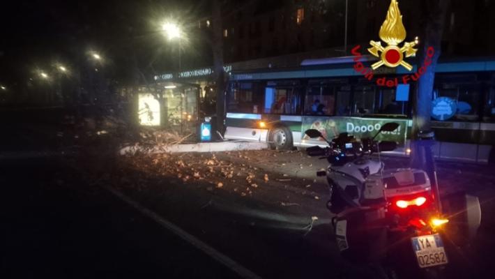 Autobus si schianta contro un albero a Milano: 8 feriti