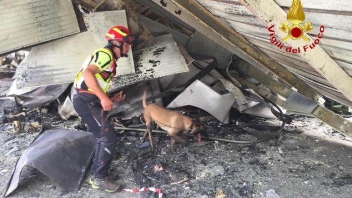 Incendio all'Inalca, non si esclude il dolo, usato cane speciale