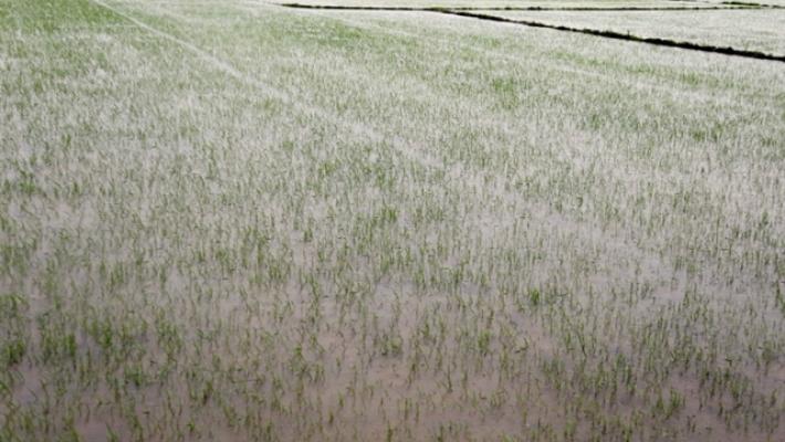 Tempesta Wutip devasta centro del Vietnam, oltre 2.000 evacuati