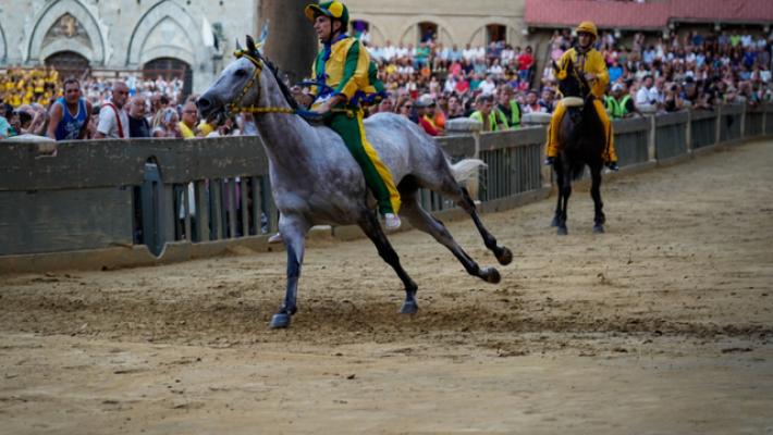 Palio di Siena, contrada del Bruco vince anche prova generale