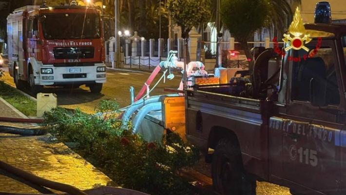 Un albero cade su un'auto, un morto e tre feriti