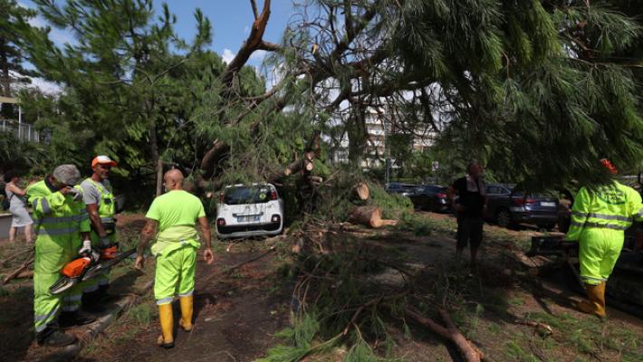 A Cervia chiusi parchi e pinete, viabilità quasi ok