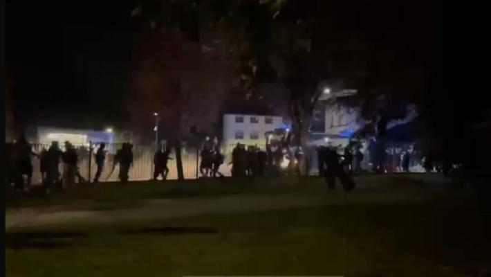 Tensioni con la polizia al corteo pro Pal di Udine