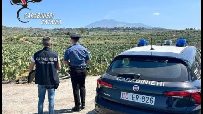 Corpo 87enne mummificato a casa, non si vedeva da anni