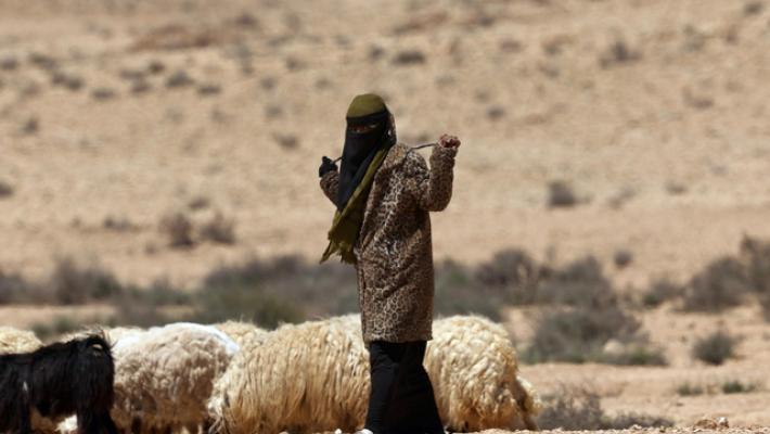 Idf conferma raid Rafah 'dopo missile anticarro su truppe'