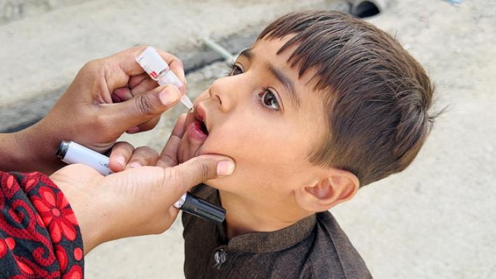 World Polio Day,Rotary 'vaccinati 3 miliardi bimbi dal 1988'