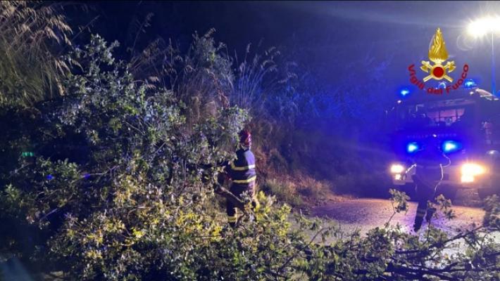 Maltempo nelle Marche, 140 interventi dei vigili per vento forte