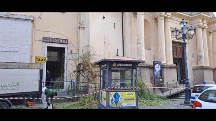 Vento forte sulla Calabria, alberi caduti ma nessun ferito
