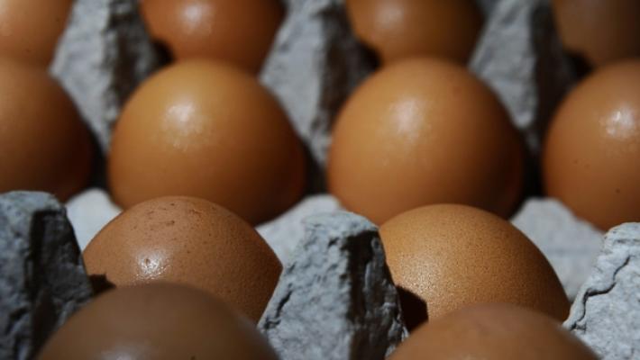 Decine di intossicazioni da cibo in tre settimane nel Reggiano