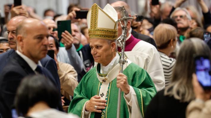 Il Papa, stop clericalismi e logiche potere, Chiesa è ospitale