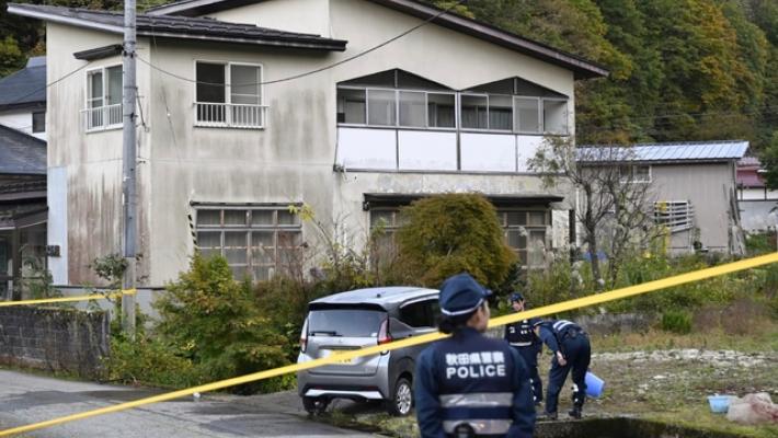 Allarme orsi in Giappone, crescono gli attacchi agli uomini