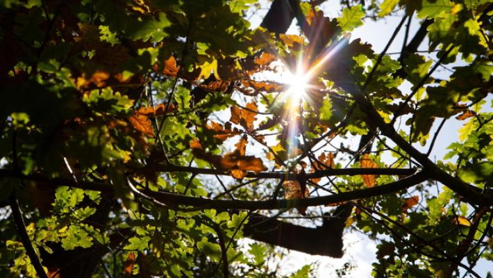 Due giorni di sole e temperature miti, poi torna la pioggia