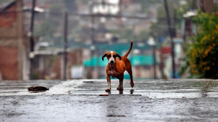 Oltre 20 morti ad Haiti per l'uragano Melissa