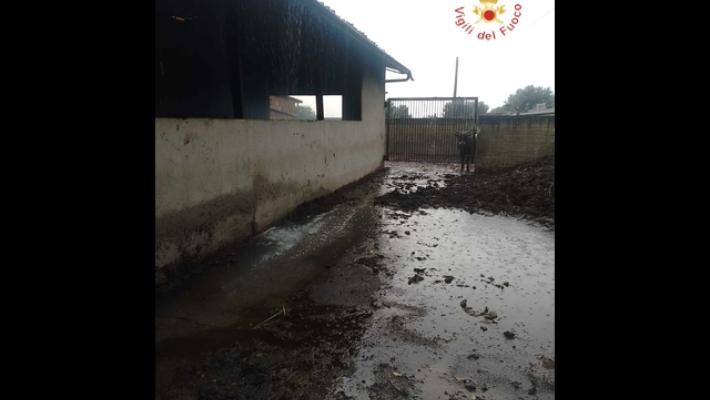 Maltempo:interventi vigili fuoco in province Catanzaro e Crotone