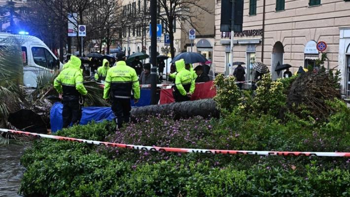 Morì schiacciata da palma, perito 'radici marce causa crollo'