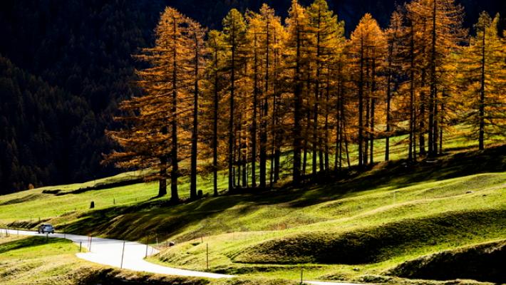 Continua la fase calda e soleggiata, dal weekend temporali