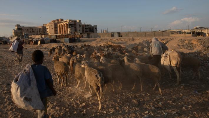 Mosca propone una bozza all'Onu su Gaza, sfida agli Usa
