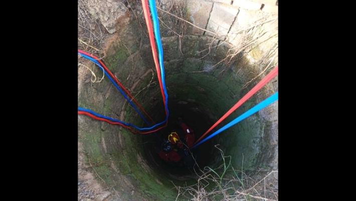 Cade in un pozzo, cane recuperato dai vigili del fuoco