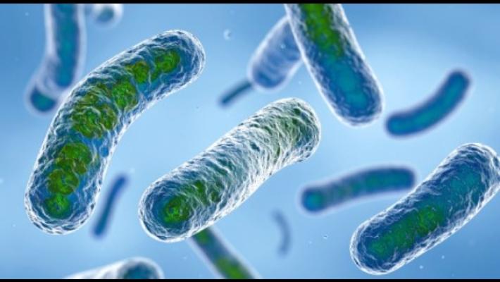 Sospetto focolaio legionella a Milano, campionamenti nelle case