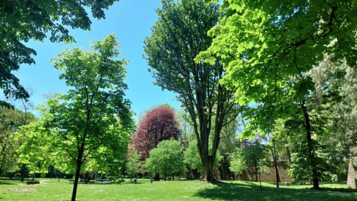 E' la festa dell'albero, in città 24 per 100 abitanti