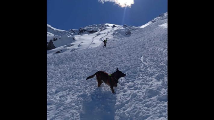 Dopo nevicate soccorso alpino attiva unità cinofila da valanga