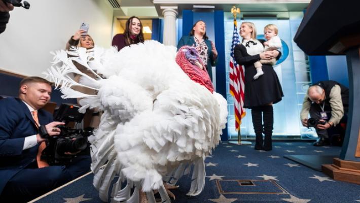 Trump scherza, 'le grazie ai tacchini di Biden non erano valide'