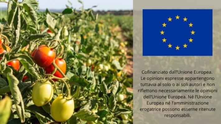 Accordo Ue sulle nuove tecniche genomiche