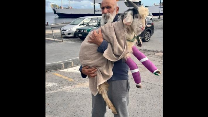 Stromboli, pescatore trova capretto con fratture e lo adotta