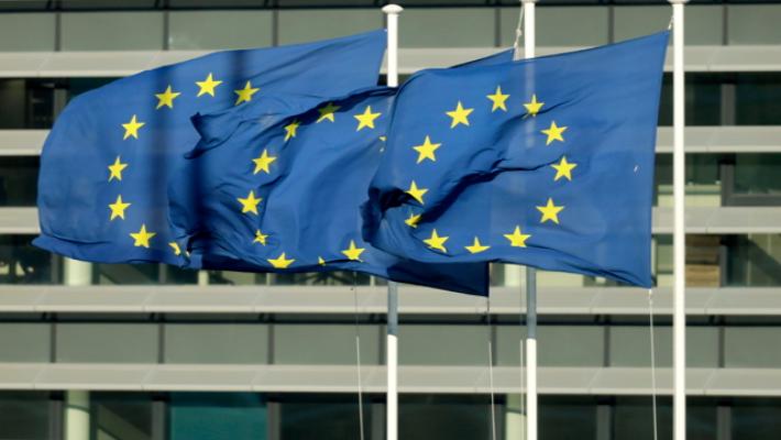 Ue, Reich? Anche parole folli sono libertà espressione