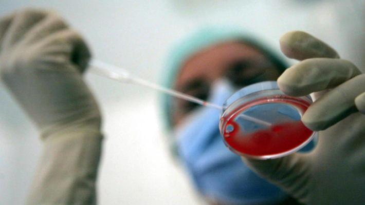 Piemonte cerca gameti per eterologa, idea &egrave; l'alleanza con altre regioni