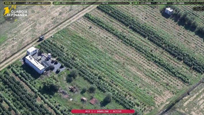 Maxi sequestro di 4 tonnellate di canapa nel Cagliaritano, 3 indagati