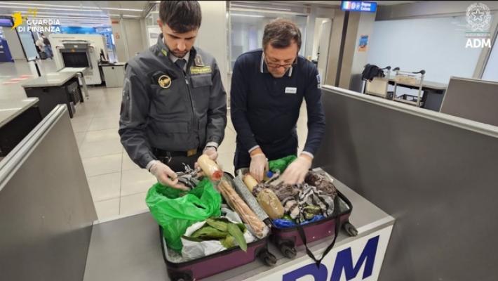 A Linate sequestrate 6,5 tonnellate di generi alimentari 'pericolosi'