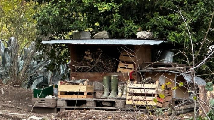 Famiglia nel bosco, legali 'azioni contro grave disinformazione'
