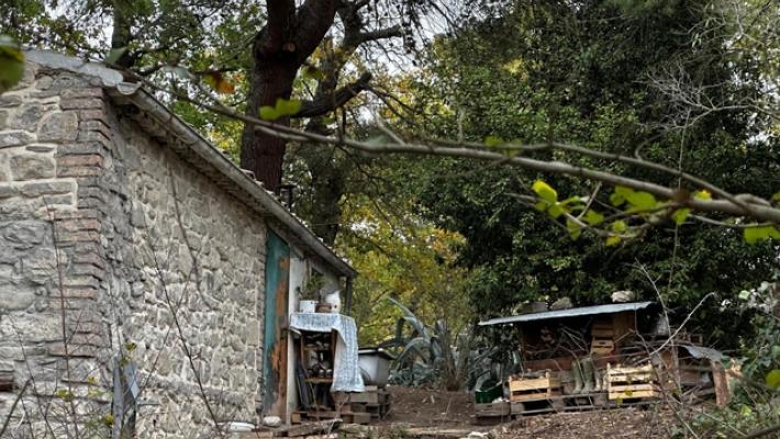 Acli Chieti, 'bimbi famiglia nel bosco passino Natale con i genitori'