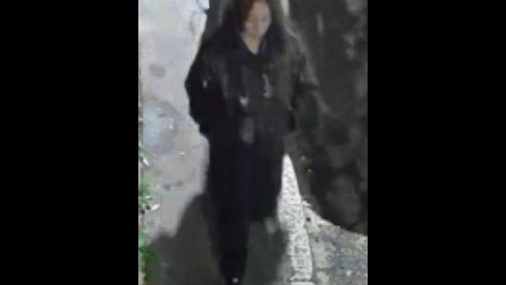 Trovata morta in un cortile a Milano: diffuse le immagini per identificarla 