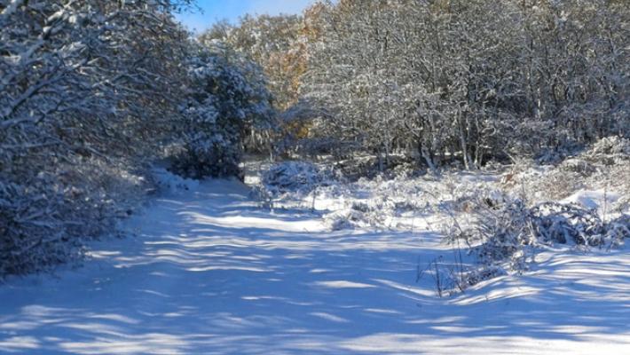 Freddo e neve in Sardegna, scatta l'allerta meteo
