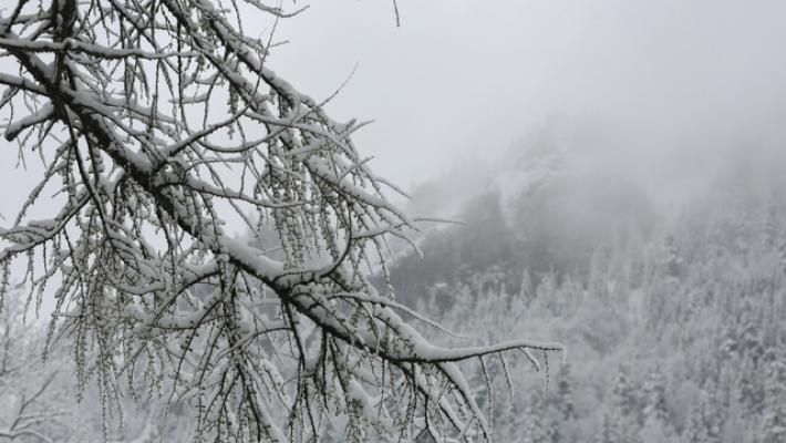 Piemonte, pericolo valanghe marcato sopra 2.300 metri in alcune zone